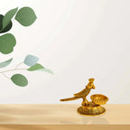 vyvvltshzzeydb1jc8lu