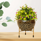 Designer Black & Gold Metal Planter with Stand I-188-A
