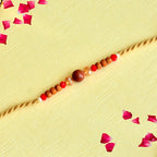 Untitled design (35)