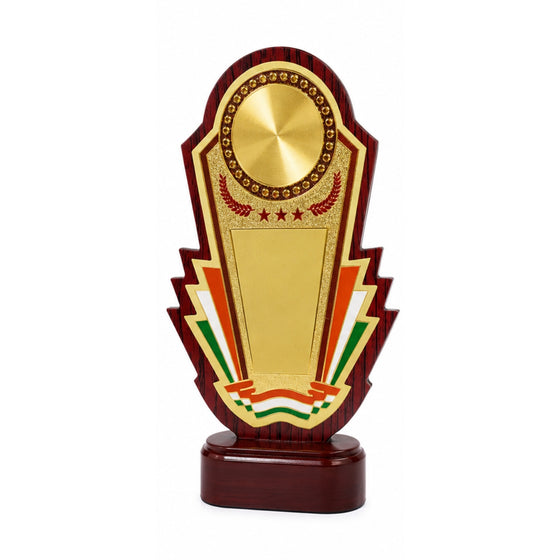 Premium Tricolor Theme Fiber Memento Award M-589
