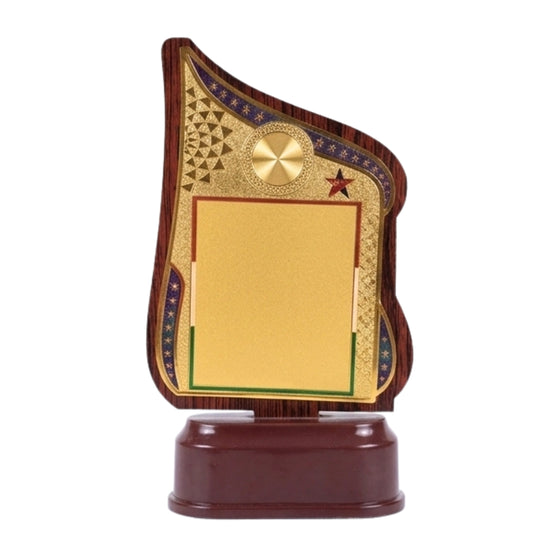 Modern Asymmetrical Fiber Memento Award with Tricolor Detailing M-628