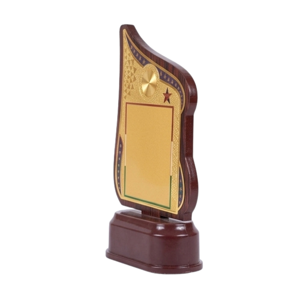 Modern Asymmetrical Fiber Memento Award with Tricolor Detailing M-628