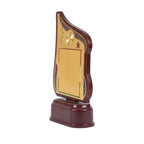 Modern Asymmetrical Fiber Memento Award with Tricolor Detailing M-628