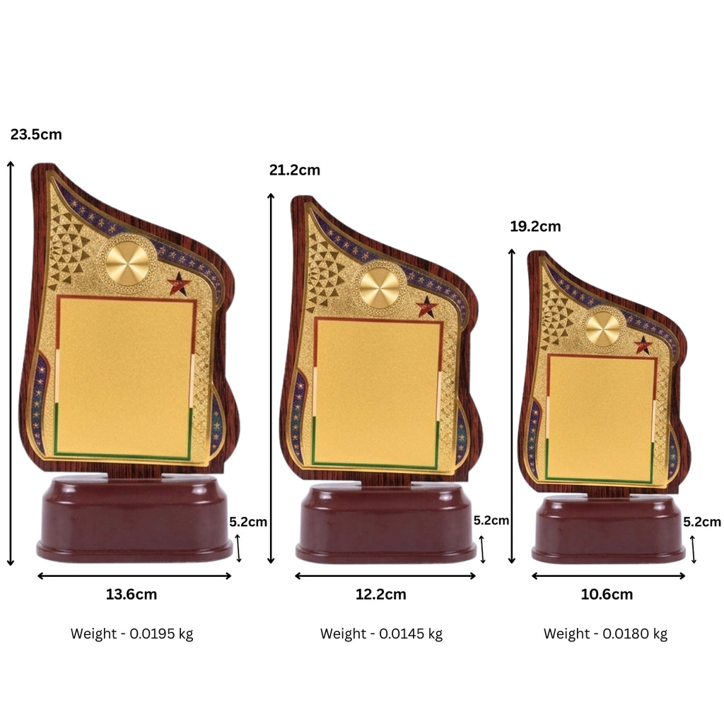 Modern Asymmetrical Fiber Memento Award with Tricolor Detailing M-628