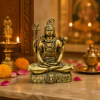 Antique Brass Lord Shiva Idol Sitting on Tiger Skin (12.6 cm, 325g) BR-145-B