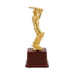 Classic Golden Cricket Batsman Recognition Memento M-238-A