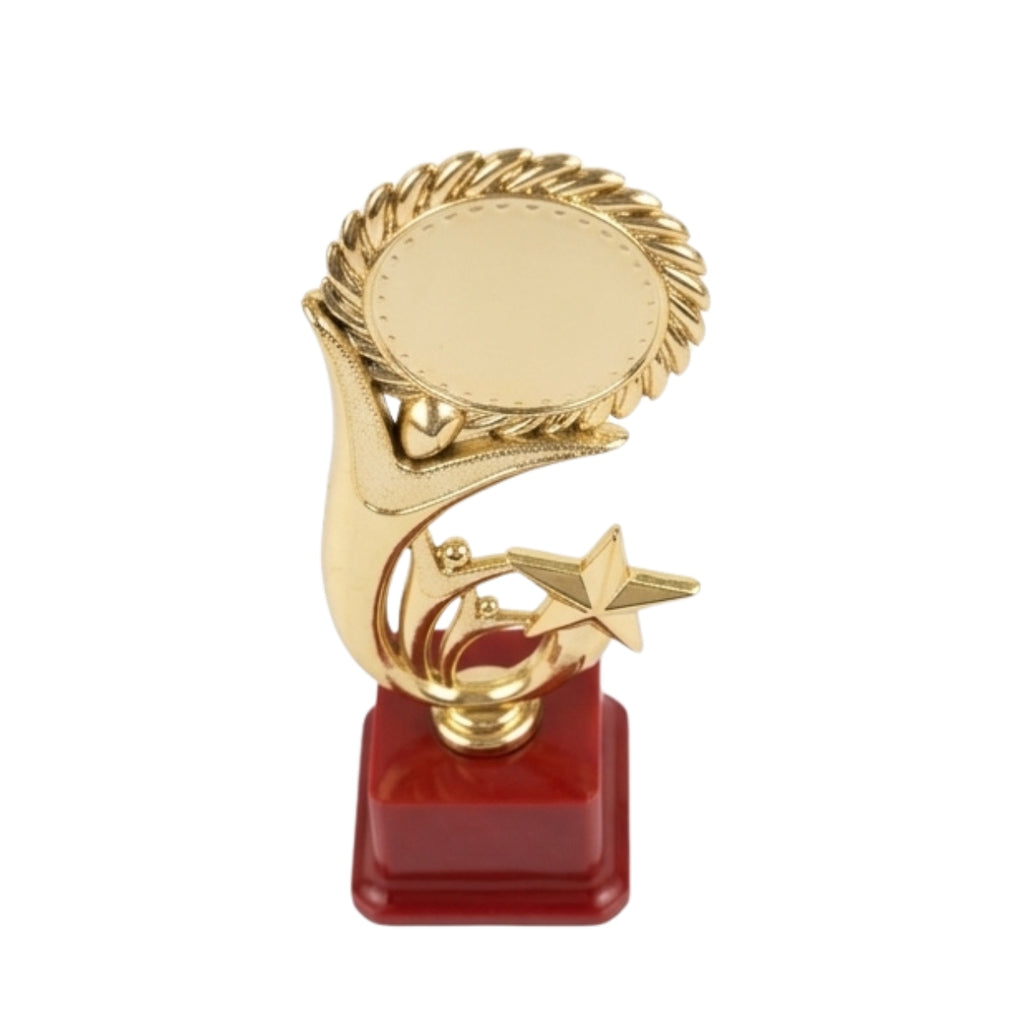 Classic Golden Star Recognition Memento M-95-A