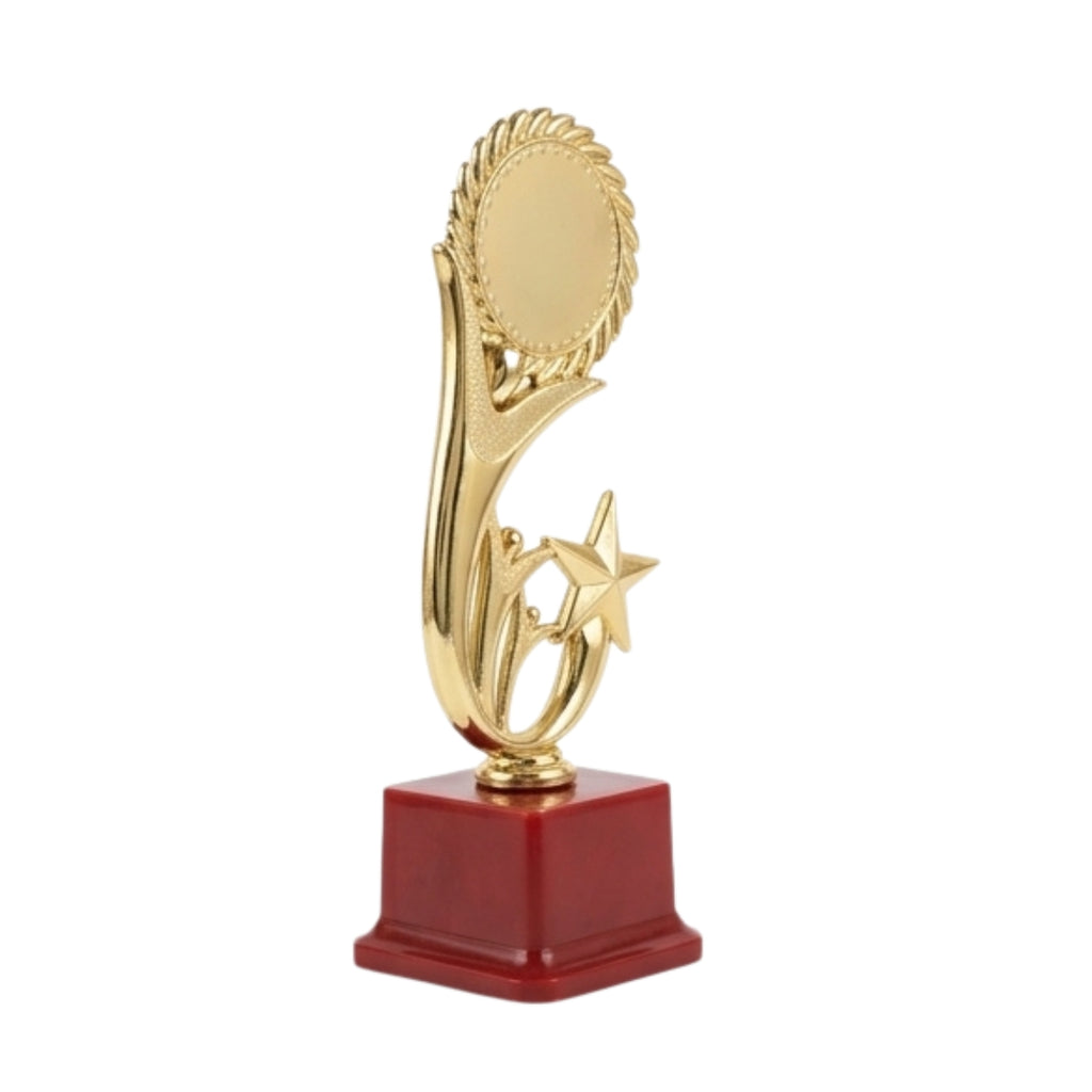 Classic Golden Star Recognition Memento M-95-A
