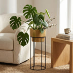 Modern Metal Planter with Tall Wire Stand | Minimalist Matte Gold Flower Pot with Black Iron Geometric Base | Indoor Luxury Plant Display Stand for Living Room and Office I-114