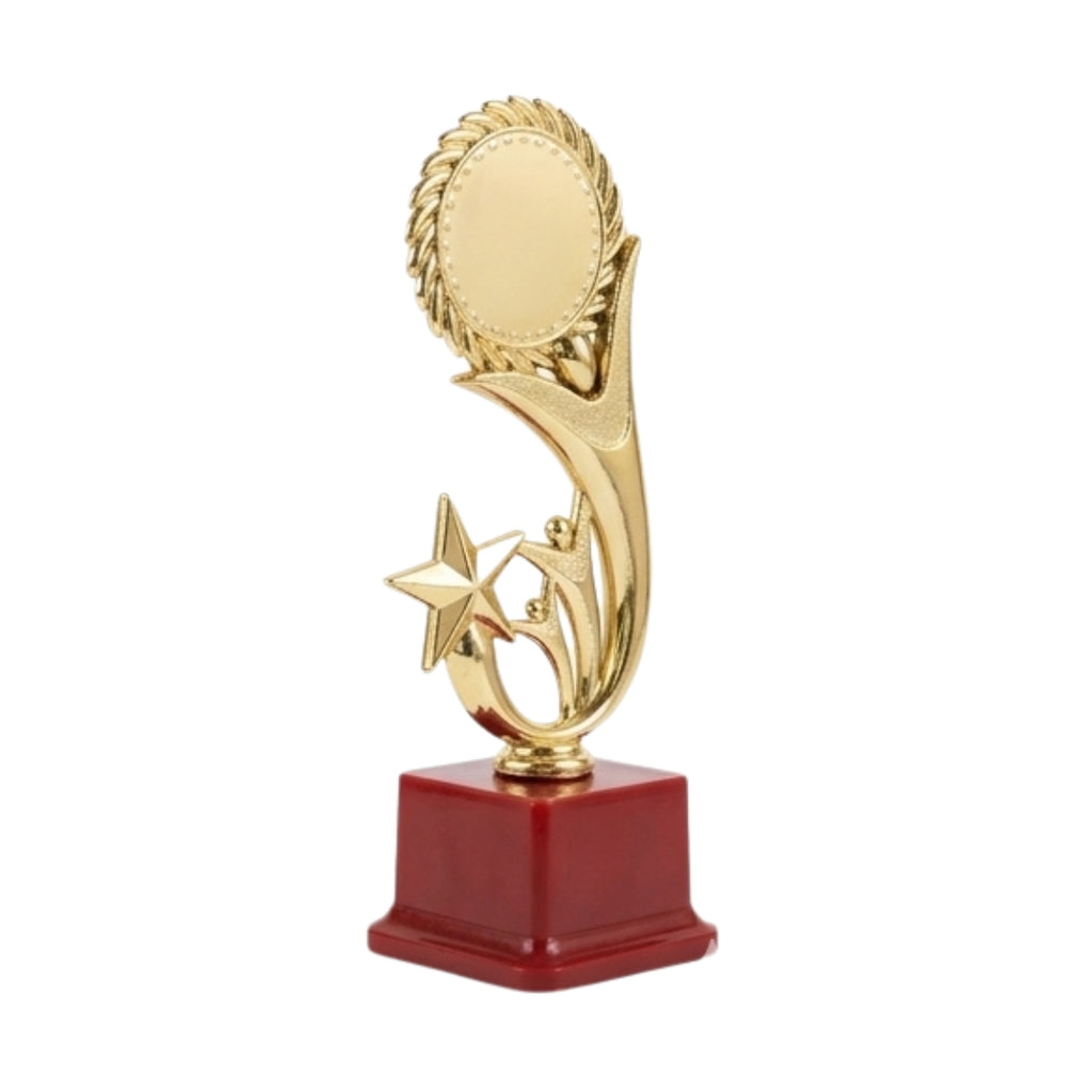 Classic Golden Star Recognition Memento M-95-A