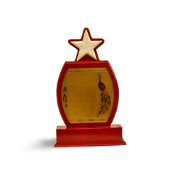 Handmade Star Design Wooden Memento M-33