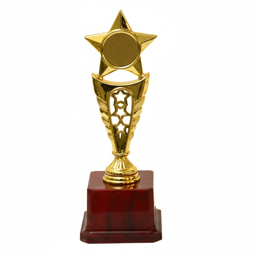 Golden Star Trophy Award Trophy M-421