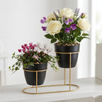 Modern Black & Gold Dual Planter Stand I-108-B