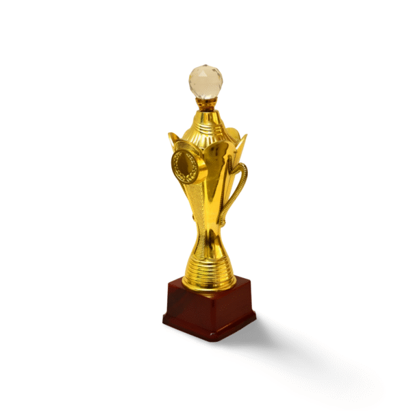 Golden Cup Trophy - M-10 - Image 2
