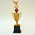 Cricket Special Golden Trophy M-246