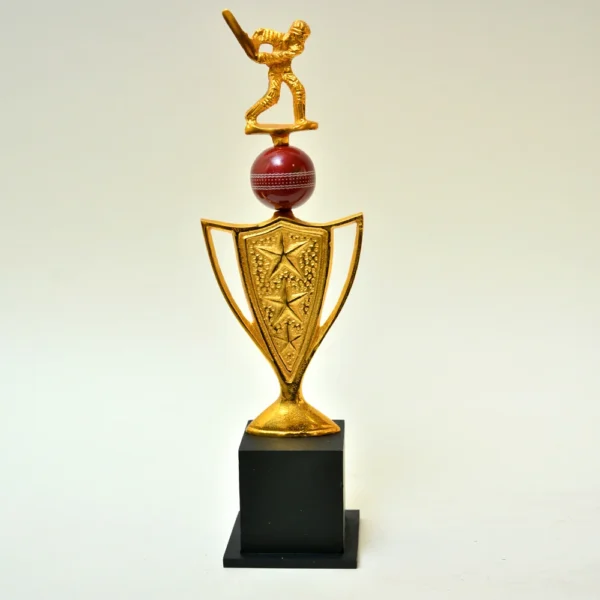 Cricket Special Golden Trophy M-246