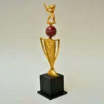 Cricket Special Golden Trophy M-246 - Image 2