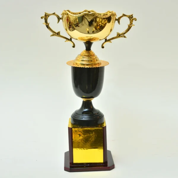 Elegant Black & Golden Trophy M-258