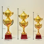 Golden Cup Trophy M-382 - Image 6