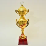 Golden Cup Trophy M-382