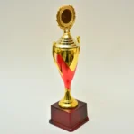 Golden Cup Trophy M-220