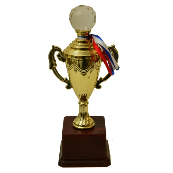 Golden Cup Trophy M-170