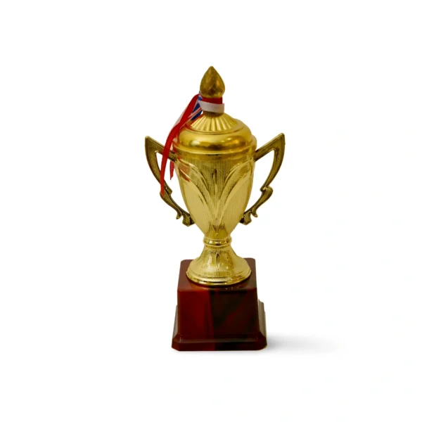 Golden Cup Trophy - M-171 - Image 3