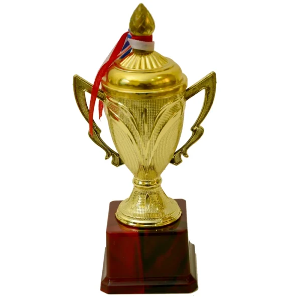 Golden Cup Trophy M-171