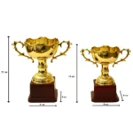 Golden Cup Trophy M-259 - Image 6