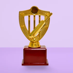 Cricket Special Golden Trophy - M-234