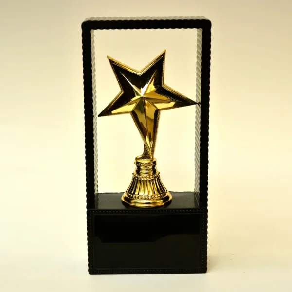 Black Unique Design Trophy M-417