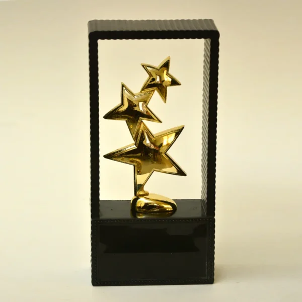Black Unique Design Trophy M-418