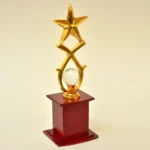 Golden Star Trophy M-454 - Image 4