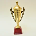 Golden Cup Trophy M-419
