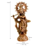 Elegant Krishna Statue G-105-E - Image 4