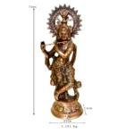 Divine Lord Krishna Idol G-105-A - Image 4