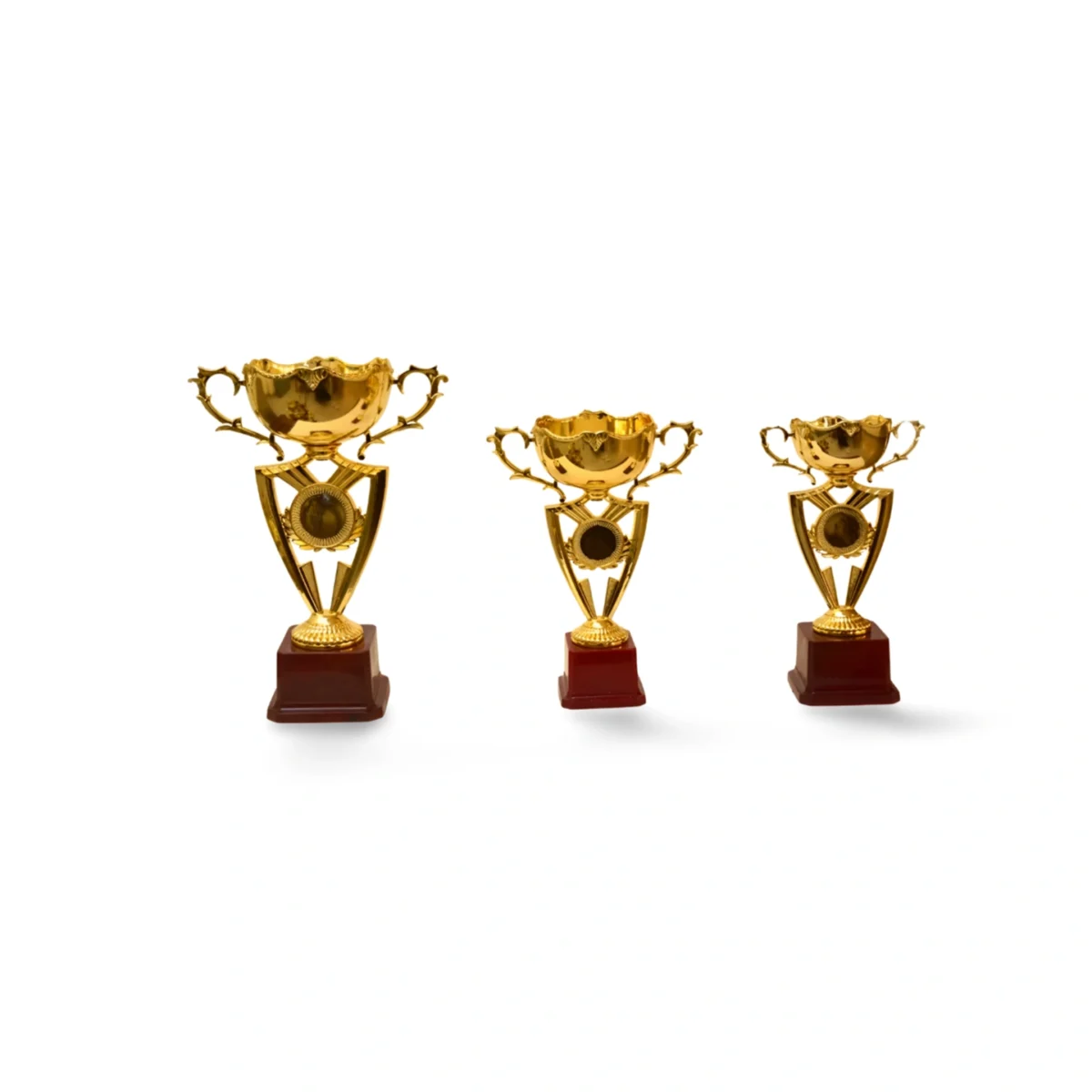 Golden Cup Trophy M-424 - Image 4