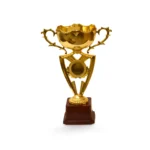 Golden Cup Trophy M-424 - Image 3