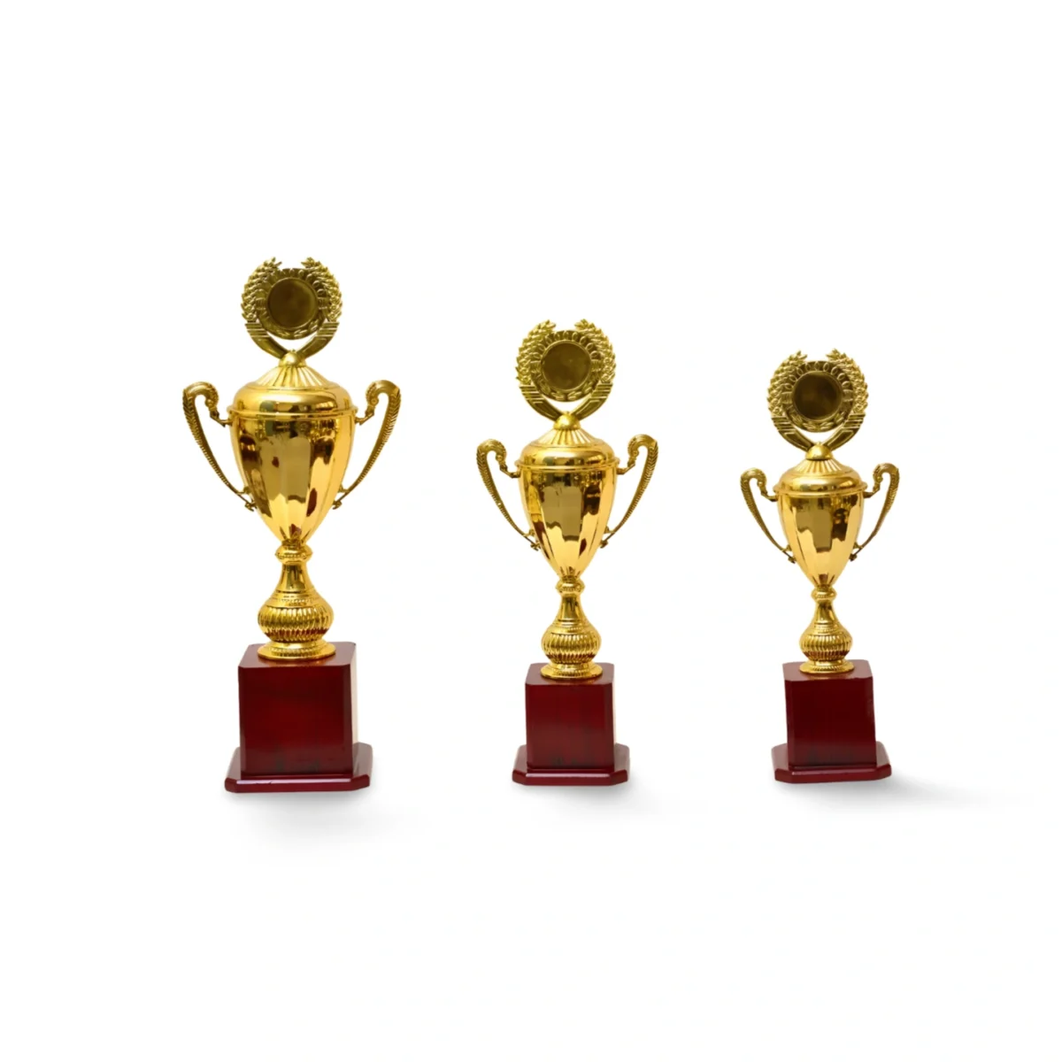 Golden Cup Trophy M-257 - Image 4