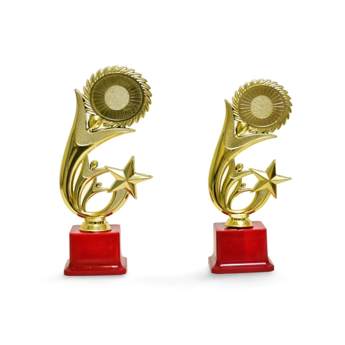 Golden Star Trophy M-95 - Image 2