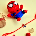 Spider-Man Rakhi Gift Pack for Kids - RK-30 | Soft Toy & Designer Rakhi
