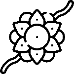 Rakhi
