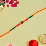 Divine Rudraksha Rakhi – RK-144 | Multicolor Beads & Golden Accents on Sacred Thread