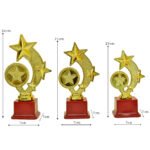 Golden Star Trophy – M-549 - Image 4