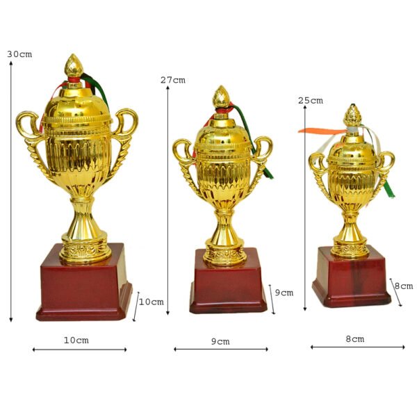Golden Cup Trophy - M-540 - Image 4