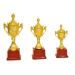Golden Cup Trophy – M-542 - Image 2