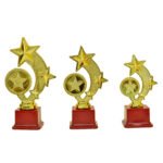 Golden Star Trophy – M-549 - Image 2