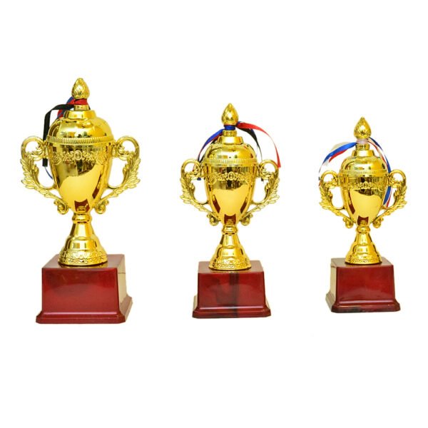 Golden Cup Trophy - M-541 - Image 2