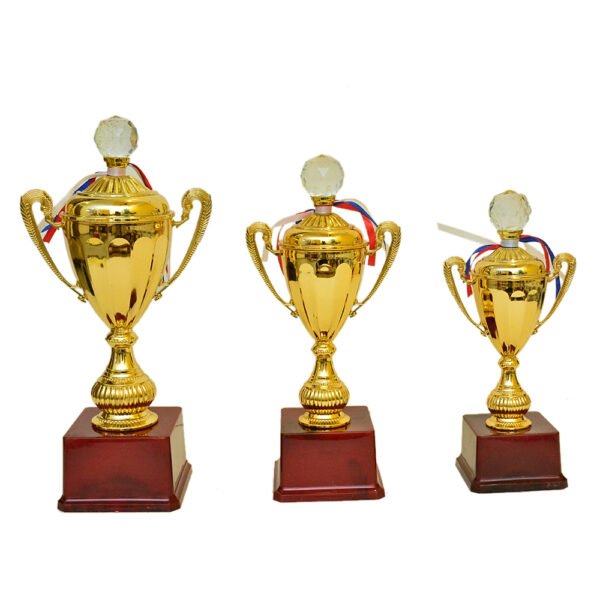 Golden Cup Trophy – M-539 - Image 2