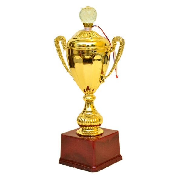 Golden Cup Trophy – M-539 - Image 3